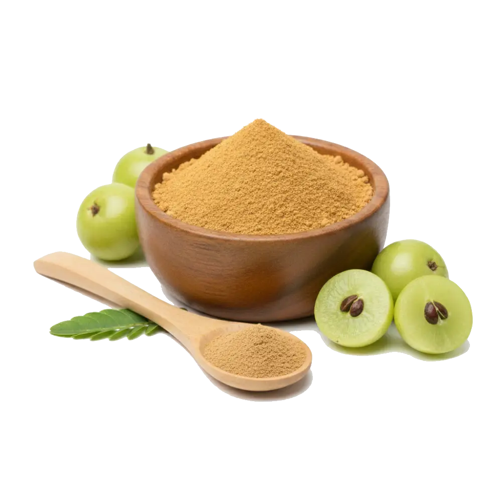 Amla Extract (Phyllanthus Emblica)