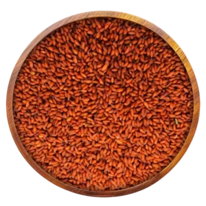 Asaliya