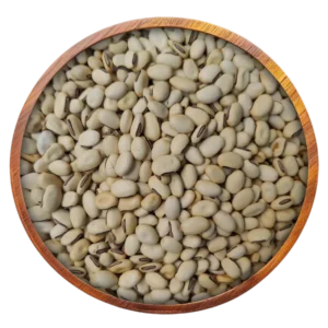 Kaunch Seeds