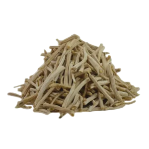 Shatvari